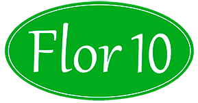 Floristería Online | Flor 10