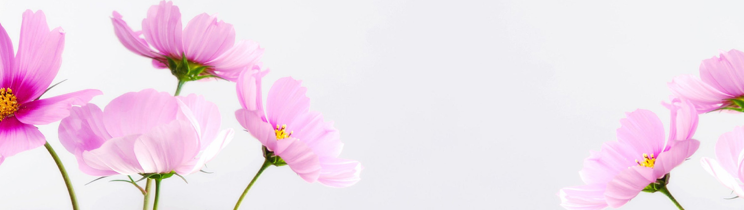 Floristeria con envío urgente