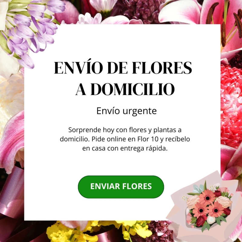 Envío de flores a domicilio